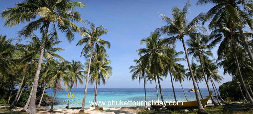ทัวร์เกาะราชา 1 วัน ราคาถูก